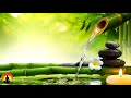 🔴 Relaxing Music 24/7, Meditation Music, Healing Music, Spa Music, Zen, Sleep, Yoga, Study Music