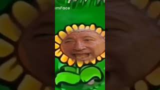 sunflower, но это Расул Гамзатов