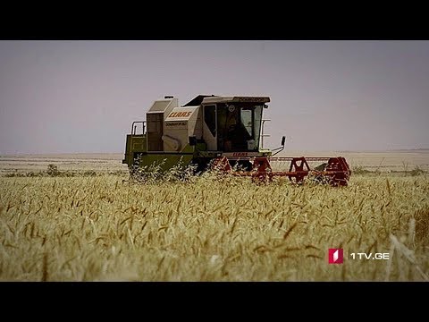 მოსავლის აღების პრობლემა