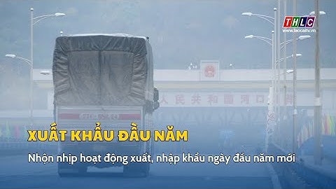 Nhộn nhịp hoạt động xuất, nhập khẩu ngày đầu năm mới | THLC