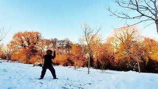 Phoenix Qigong in the snow by White Horse Tai Chi -白馬太極學會 59 views 1 year ago 2 minutes, 13 seconds
