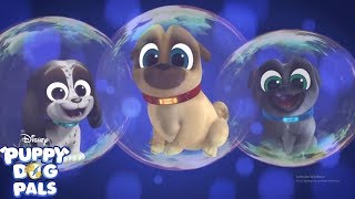 Puppy Dog Pals ⭐️ Bob and Ana's Bubble Bummer #5⭐️Best Cartoon Movies Full Episodes