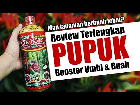 Video: Apakah yang dimaksudkan dengan progeneratif?