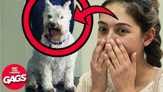 Top 10 Evil Pranks | Just For Laughs Gags