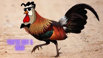 Chicken Boo theme with a real chicken