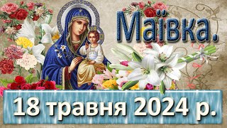 Маївка 18 травня 2024 р.