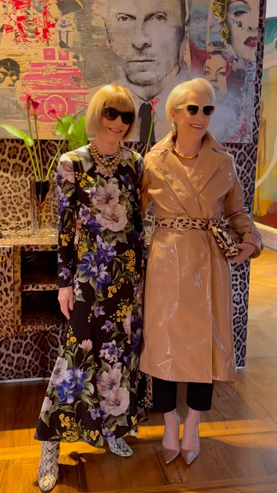 Anna Wintour Meets Miranda Priestly and Fans Are ‘Screaming’… Link in our Bio for the full story