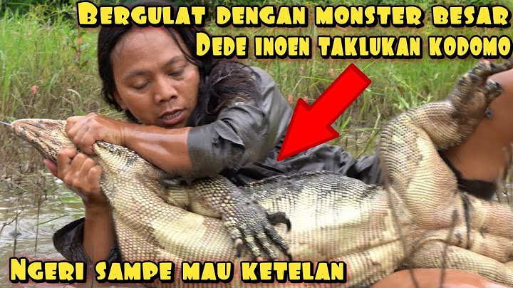 DEDE INOEN BERGULAT DENGAN BUAYA KW RAKSASA