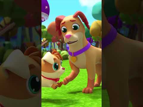 🐶 Les Cinq Petits Chiots #shorts #kidssongs #reels #comptines #fivelittlepuppies