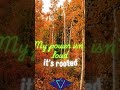 #inspirationalquotes #affirmations #inspiration #power #youthrivecoaching