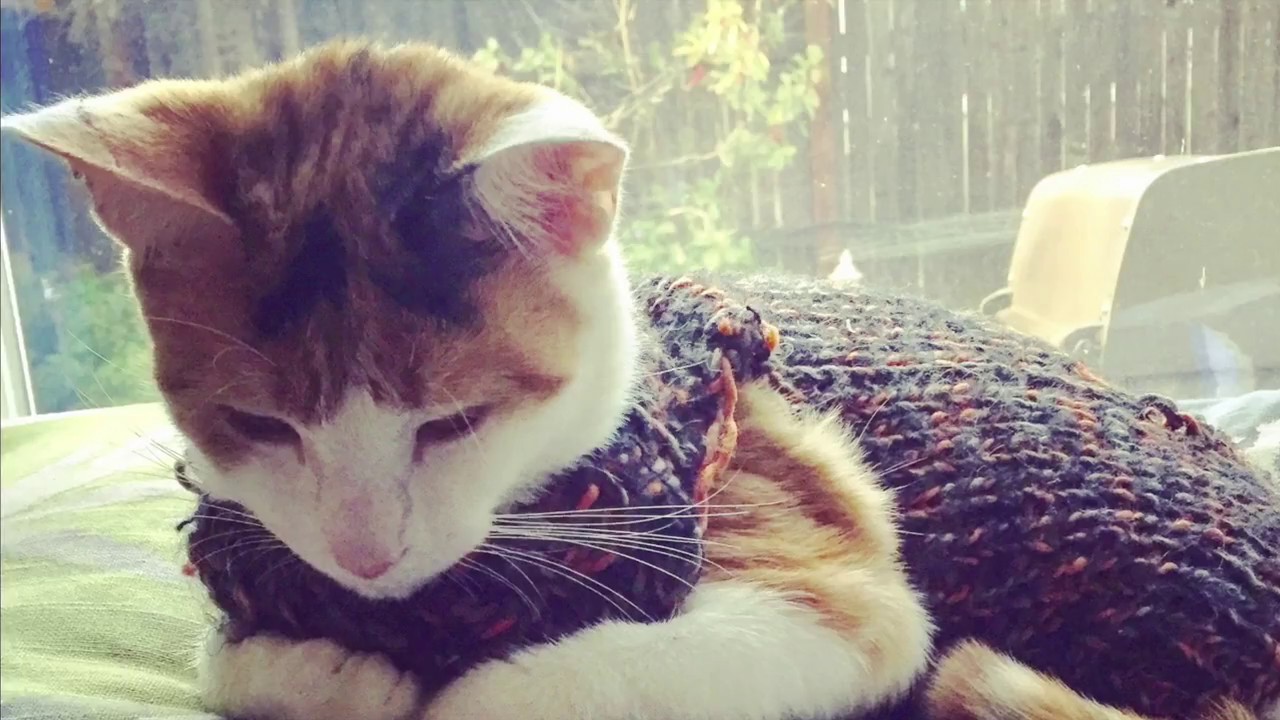 Awesome Goodwill Haul - Reselling 80' & 90' Fashion & Great Vintage Style Instagram Accounts