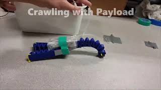 Soft Robotics Locomotion Challenge: 3D-Printed Soft Crawler Robot screenshot 3
