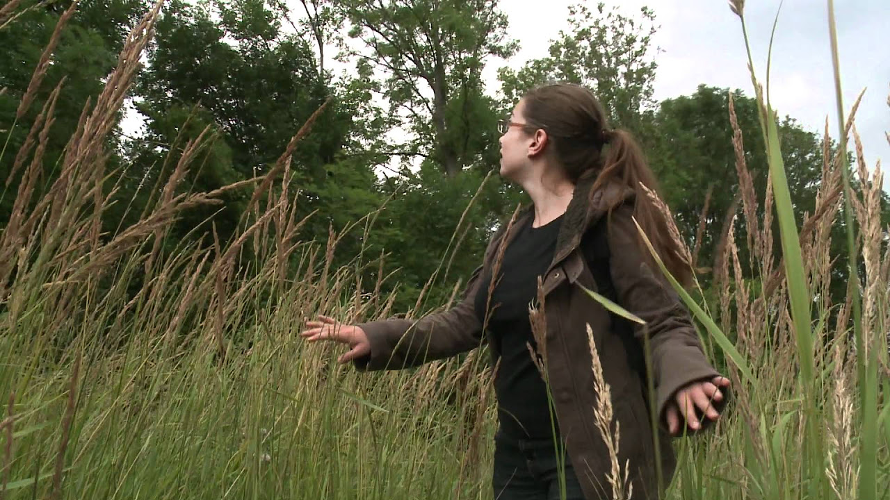 New Geocaching - die moderne Schnitzeljagd