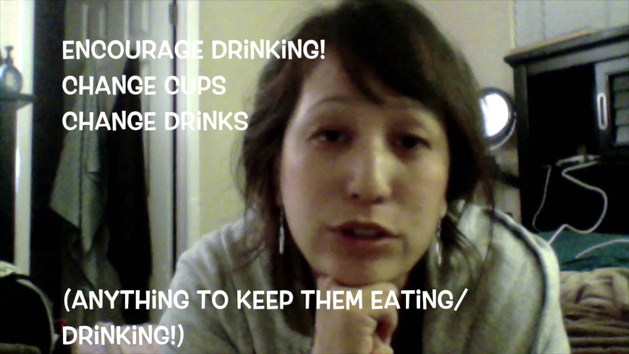 Day 1 of 3 Day Potty Training YouTube