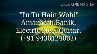 Tu Tu Hai Wohi  Kishoreasha  Instrumental Cover  Amarnath Banik  Electric Steel Guitar