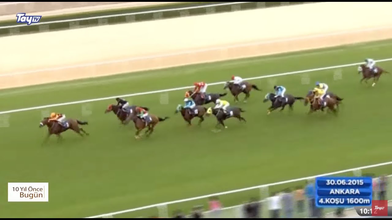 🏇 Tay TV Canlı Yayını