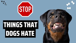 10 Common Things Dogs Hate That Humans Do