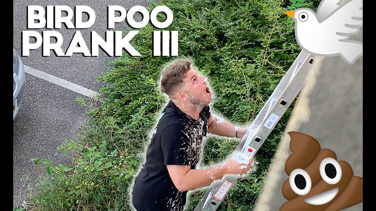 pranks to do on your mom CRAZY SEAGULL POOPS ON MY BRO