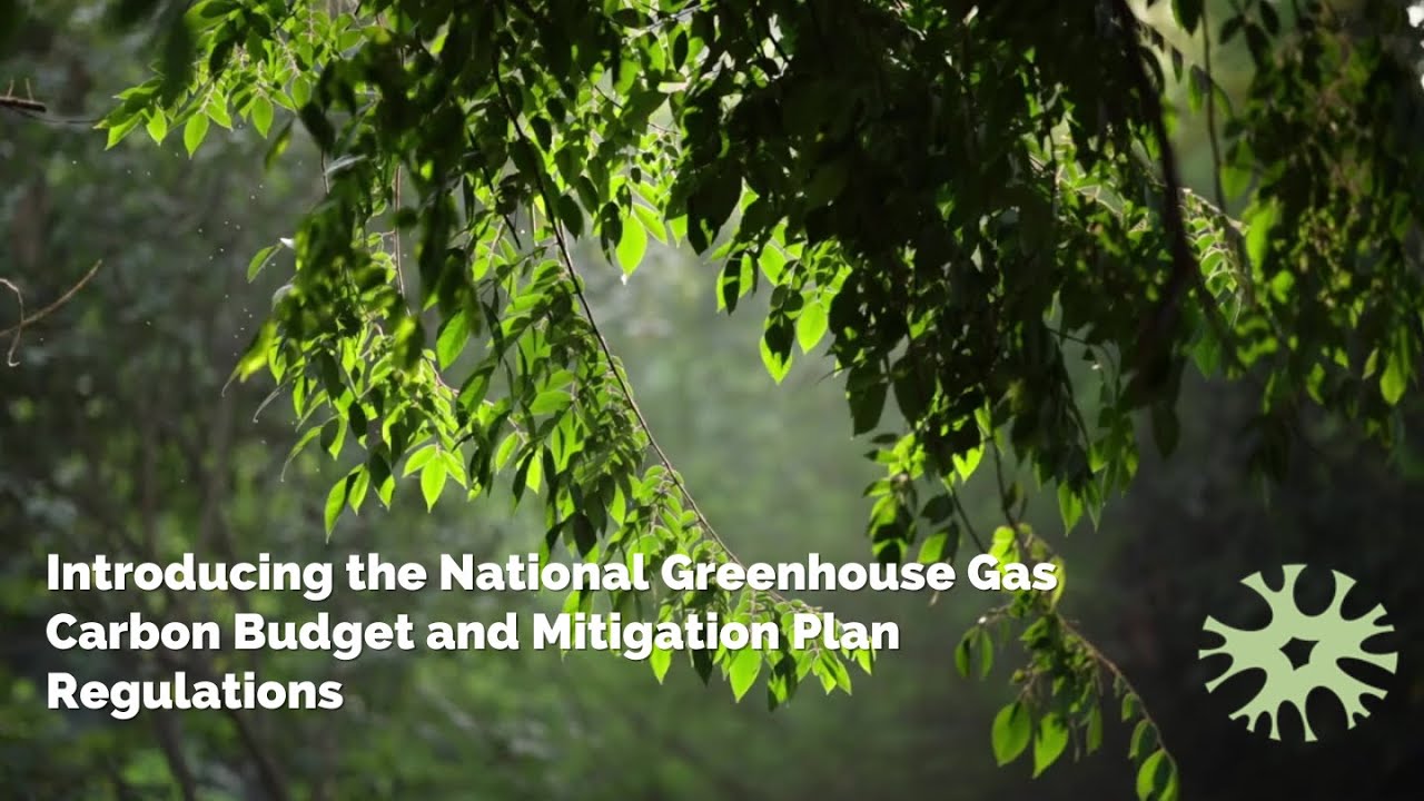 Introductory overview of the draft Carbon Budget and Mitigation Plan Regulations