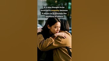 Mirror Neurons Imitation and Empathy Explained