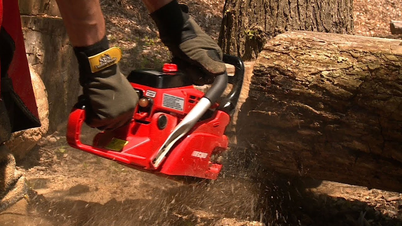 Chainsaw Buying Guide