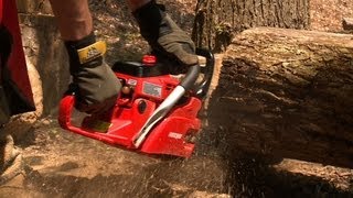 Chain Saw Buying Guide | Consumer Reports