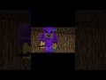 minecraft video