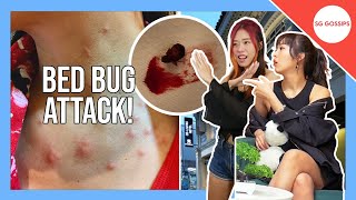 Woman bitten badly by bed bugs at Bugis hotel