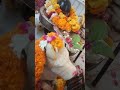 Din badlenge Apne || Naresh Rani Vlogs #shortsfeed #youtubeshorts #trending #shorts #ytshorts