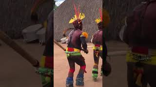 Takuara Povo Kuikuro Do Alto Xingú-Mt