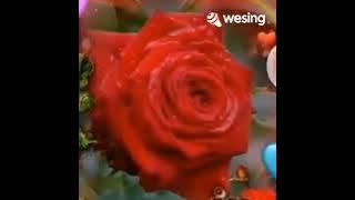 Bunga Mawar di tepi telaga.