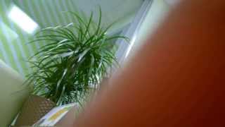 WP 20150616 001