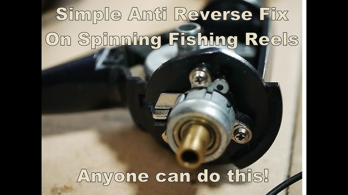 Roller Clutch cleaning anti reverse the common baitcaster issue 