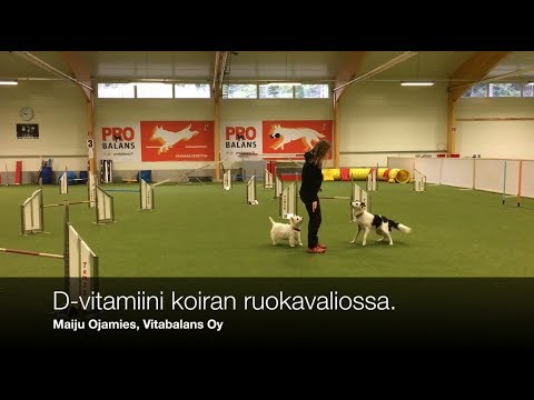 Video: Cardiffin Syöpätarina, Osa 4 - Syökö Koirani Kemoterapiahoidon Aikana?