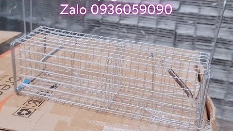 Lồng bẫy chuột 2 cửa. Lồng bẫy chuột đường mòn 2 cửa. Lồng bẫy chuột đồng 2 cửa. Bán bẫy chuột đàn.