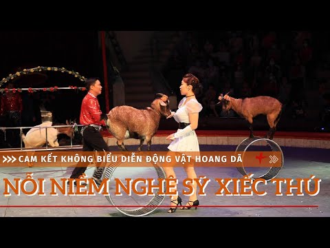Video NỖI NIỀM CỦA NGHỆ SĨ XIẾC THÚ SAU CAM KẾT KHÔNG BIỂU... - youtube