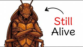 Details Why Cockroaches Are Almost Impossible to Kill Explained Update