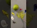 Paint matching a lime with oils shorts art painting