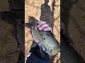 This is now a fishing and hunting channel with occasional hockey edits