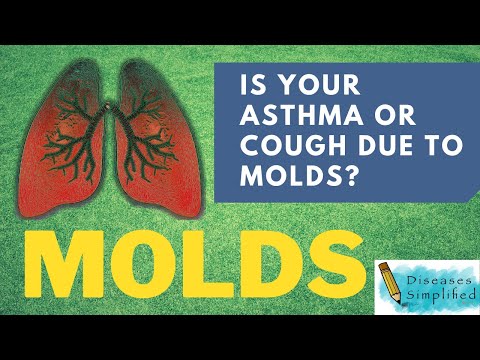 Must Know Symptoms of Mold Exposure
