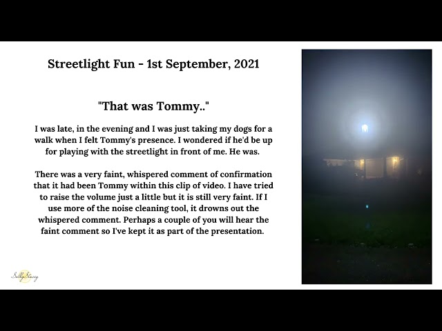 Streetlight Fun - 1st September, 2021