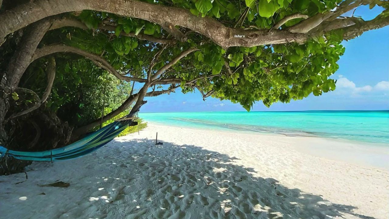 [FREE] 313 Mafia x Veeze x Bani Type Beat 