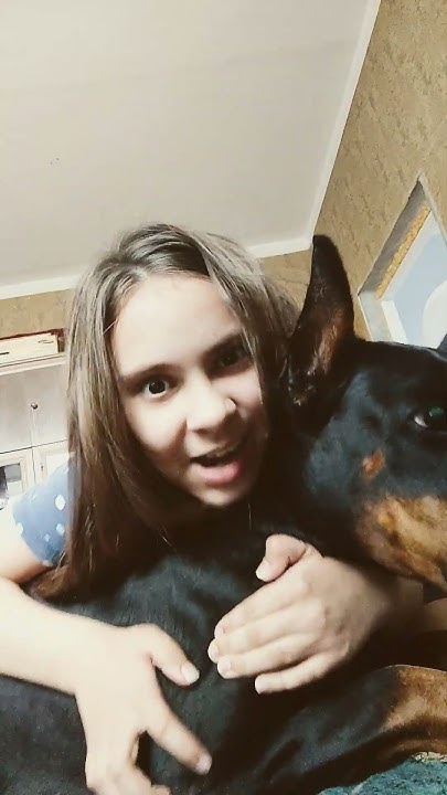 сумасшедшая собака 🐶 - YouTube