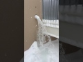 Clearing Frozen Roof Drains on Warehouse