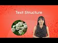 Exploring Text Structures in the Rhetorical Kingdom