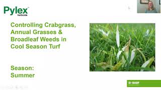 Pylex® herbicide - Controlling crabgrass, bermudagrass, goosegrass in cool season turf