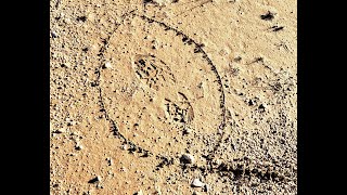 The basics of Man Tracking