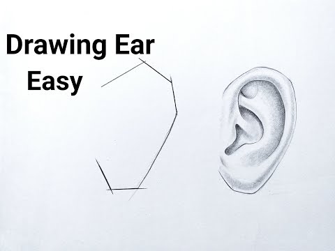 How to draw ear easy step by step Ear drawing for beginners tutorial Basic drawing for beginners