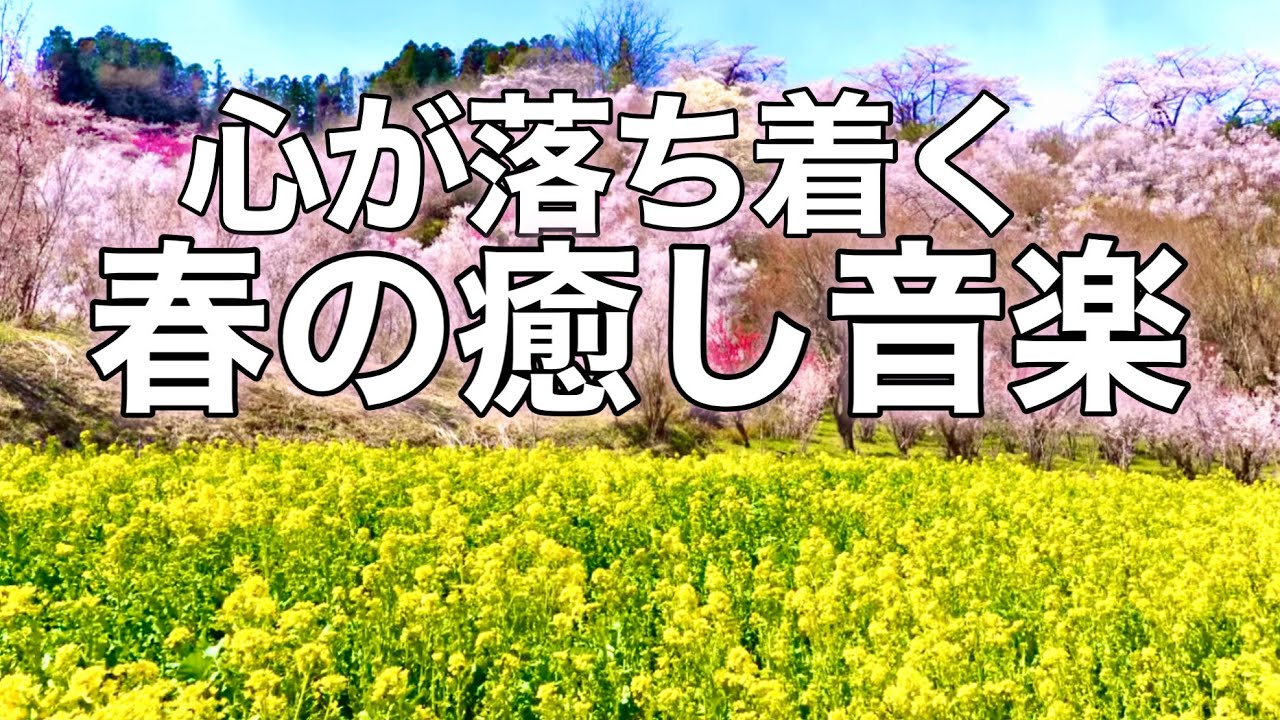 【春の癒しBGM】春を感じて心が落ち着く優しいリラックス音楽、自律神経を整え不安やストレス解消のためのヒーリングミュージック/睡眠用・作業用・勉強用BGM