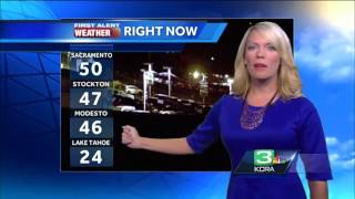 Tamaras Forecast 11.14.13